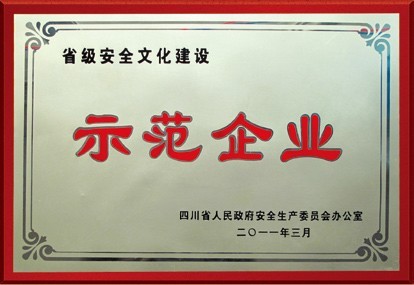 企業(yè)榮譽(yù)